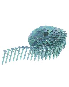 Lakefront EG Coil Nails
