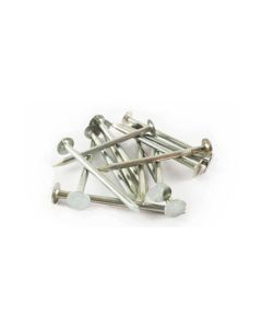 Lakefront EG Galvanized Roofing Nail