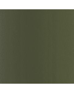 James Hardie Panel Fiber Cement Smooth Siding 48"x120" Mountain Sage 1pc