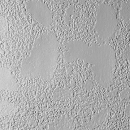 James Hardie Panel Fiber Cement Stucco Siding Primed