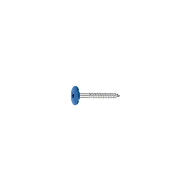 SFS 902988 Facade Panel to Wood Screw Dome Head 1" 250/box