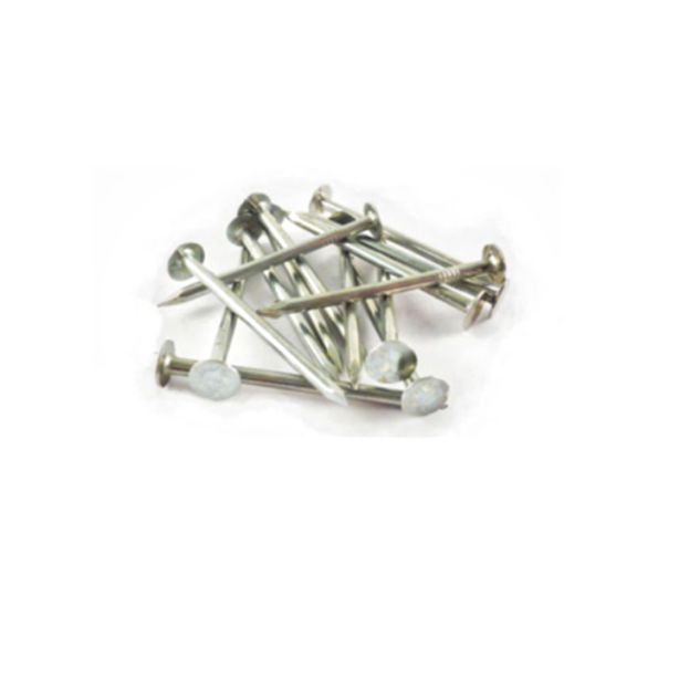 Mazel EG Galvanized Roofing 1" Nail 5 Lbs Box