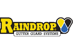 Raindrop